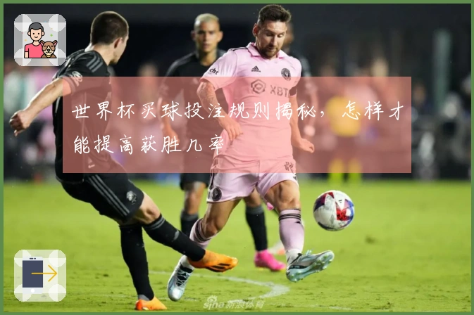 世界杯买球投注规则揭秘，怎样才能提高获胜几率