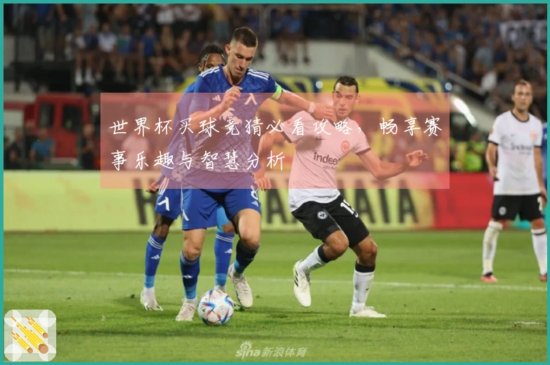 世界杯买球竞猜必看攻略，畅享赛事乐趣与智慧分析