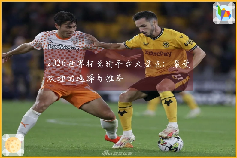 2026世界杯竞猜平台大盘点：最受欢迎的选择与推荐
