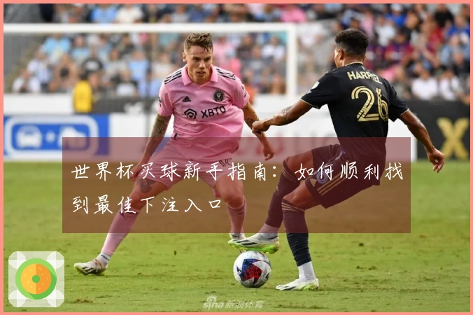 世界杯买球新手指南：如何顺利找到最佳下注入口