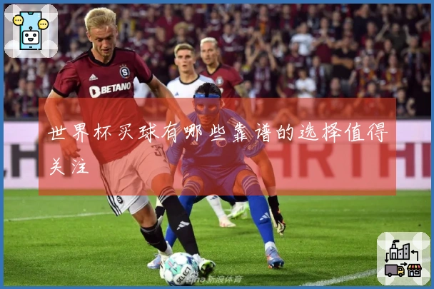 世界杯买球有哪些靠谱的选择值得关注