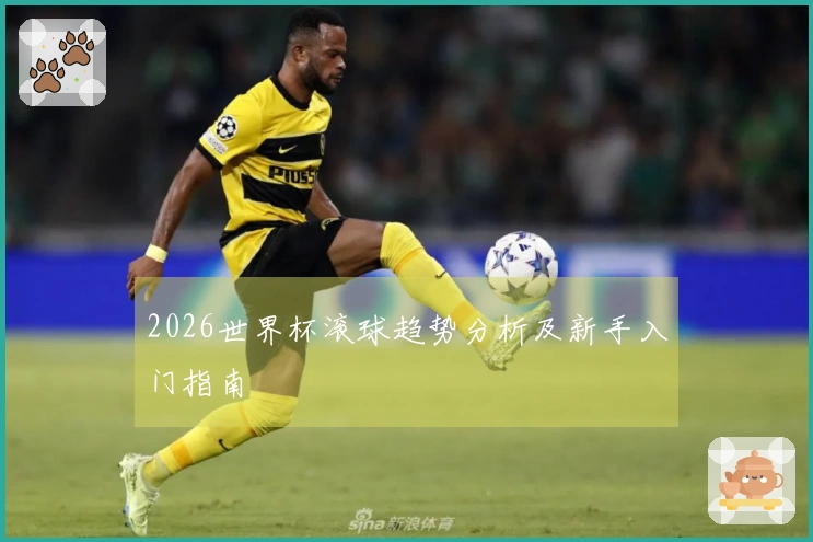 2026世界杯滚球趋势分析及新手入门指南