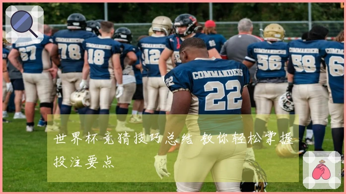 世界杯竞猜技巧总结 教你轻松掌握投注要点