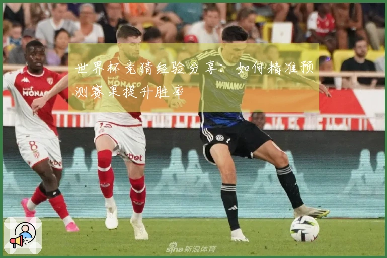 世界杯竞猜经验分享：如何精准预测赛果提升胜率